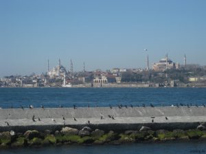 Blaue Moschee und Hagia Sophia