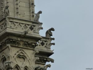 Wasserspeier Notre Dame