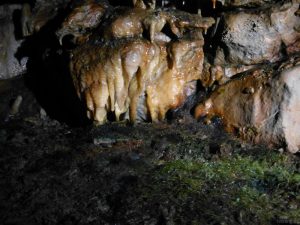 Schillathöhle - Moos in der Höhle